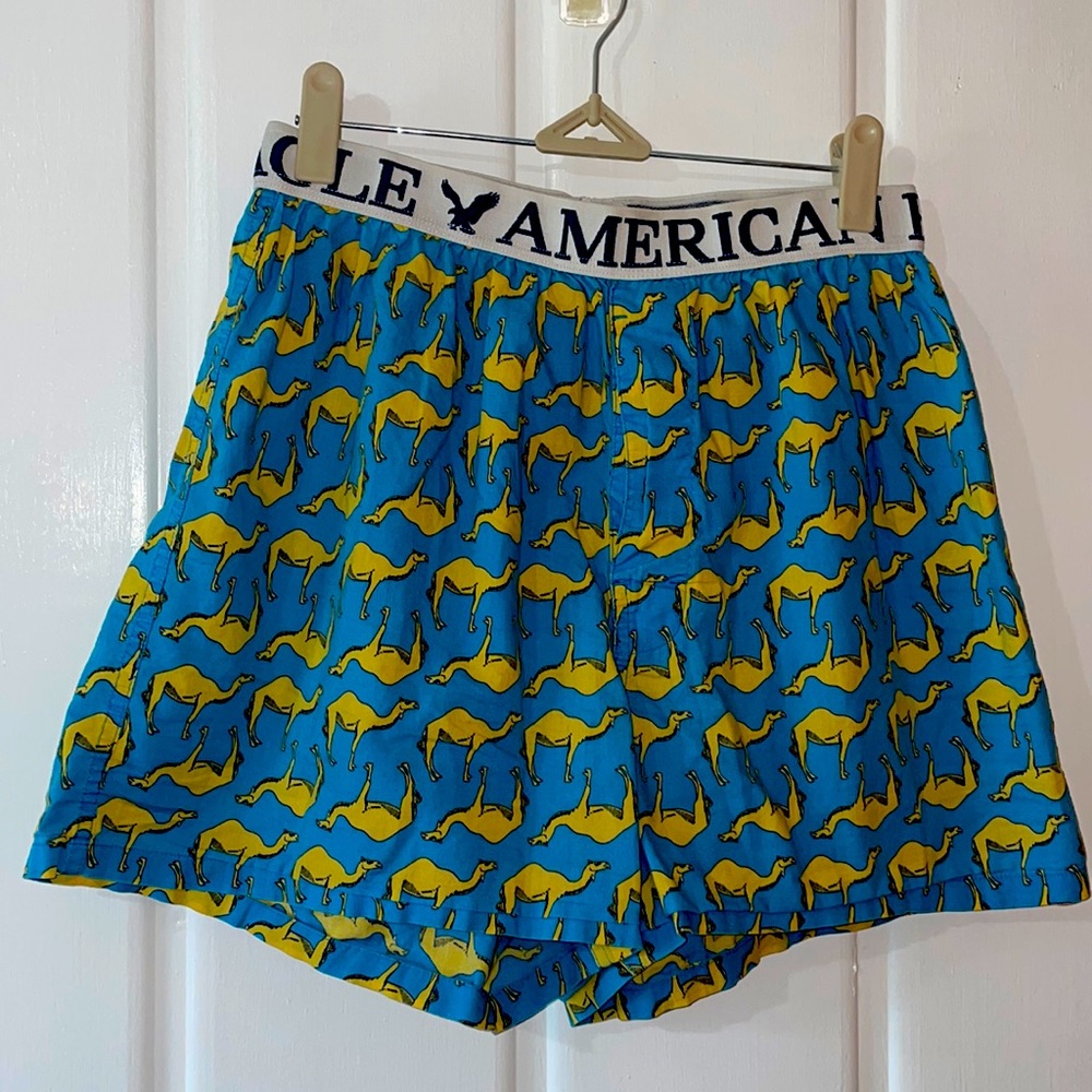 Blue American Eagle Camel Boxer Briefs